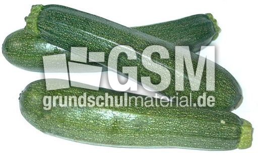 Zucchini-1x3.jpg